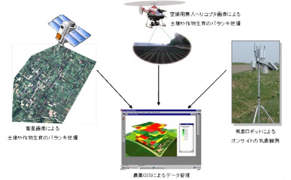 IT活用型営農の構築と実践