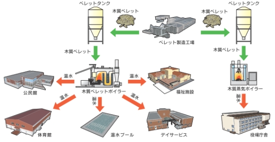 木質バイオマスボイラーの導入