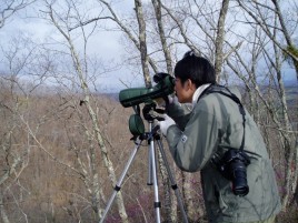 鳥類調査