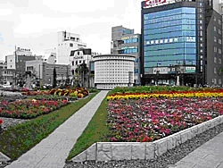 市民による広場への植栽(帯広市)