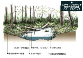 ビオトープイメージ図